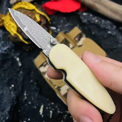 Mini Damascus Pocket Knife For Men EDC Resin Handle Folding Survival Knife Small Keychain Package Opener Box Cutting Knives