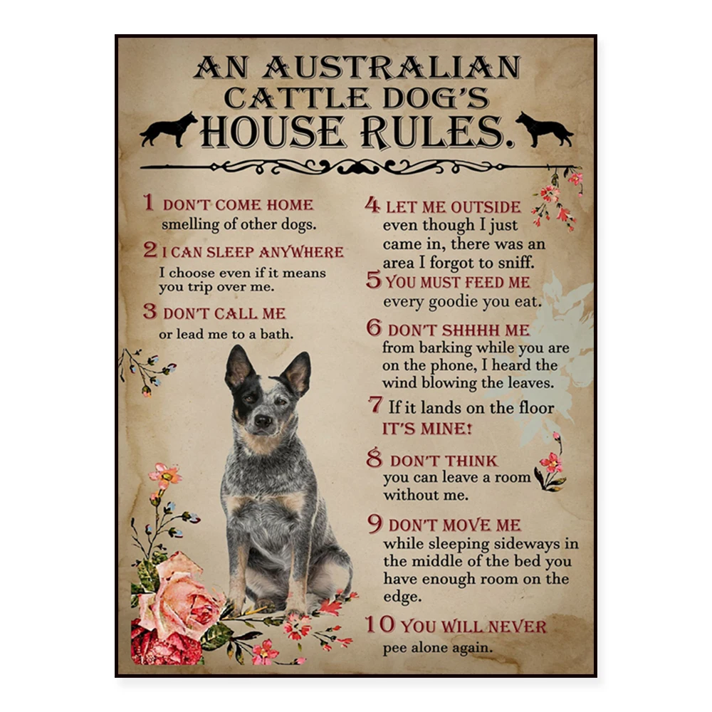 Australian Cattle Dog House Rules Poster Funny Cat Art My House My Cat My Rules Cute Decoration for Kitten Lovers