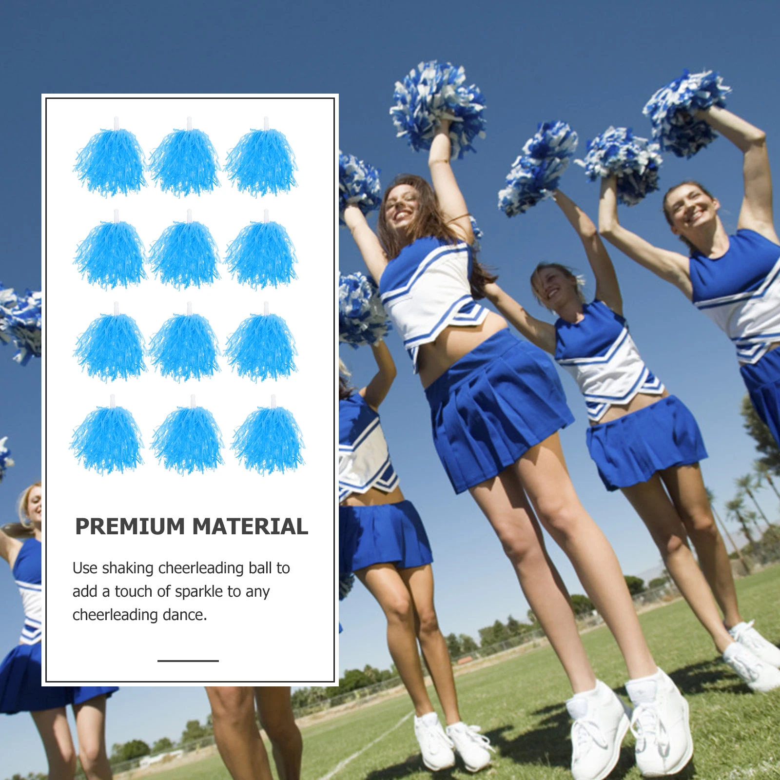 

12pcs Cheerleader Hand Flower Reusable Cheering Pompoms Glossy Durable Material Comfortable Handle For School Sports Dance