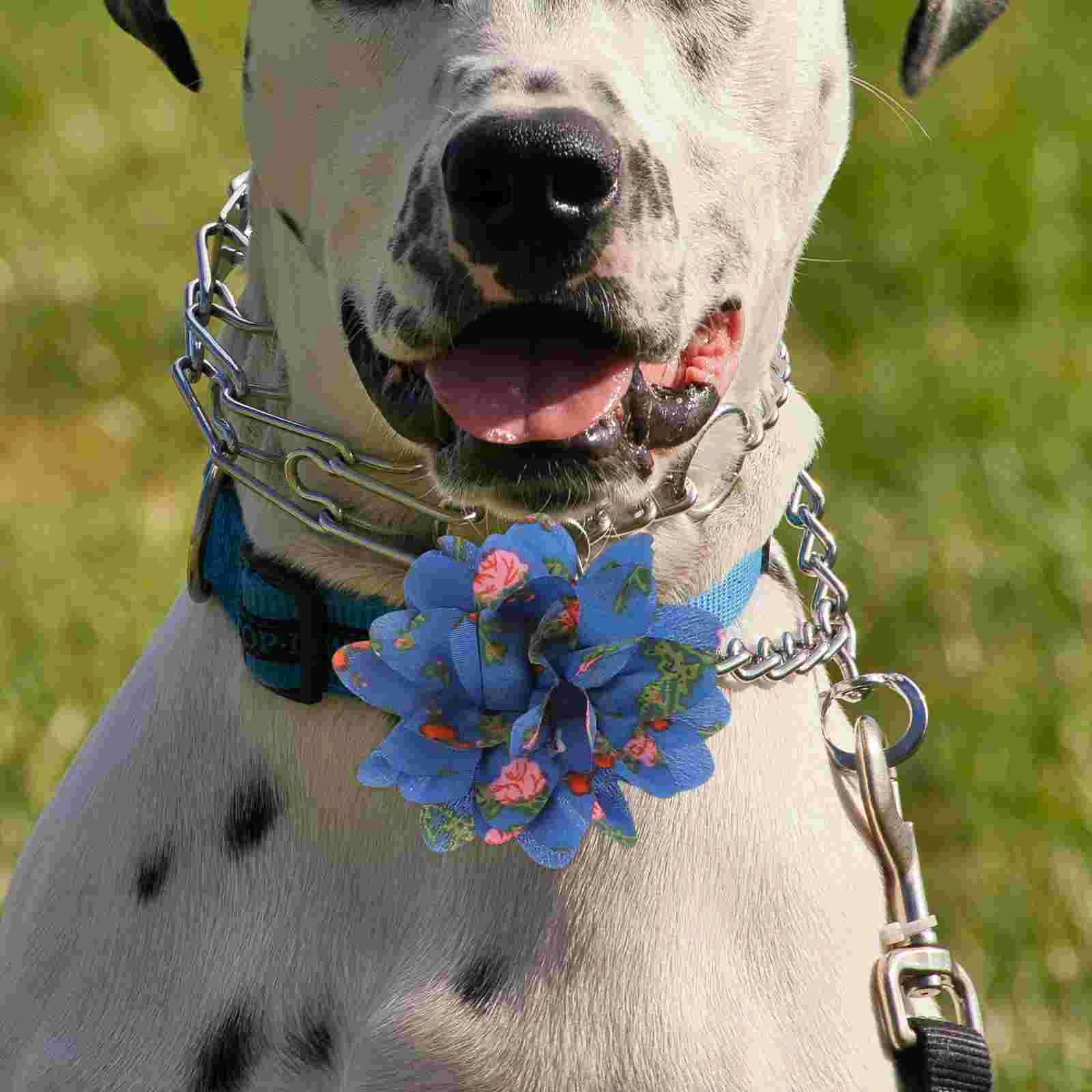 

10 Pcs Dog Bow Collar Pet Neck Cat Charms Flower For Decoration Puppy Accessory