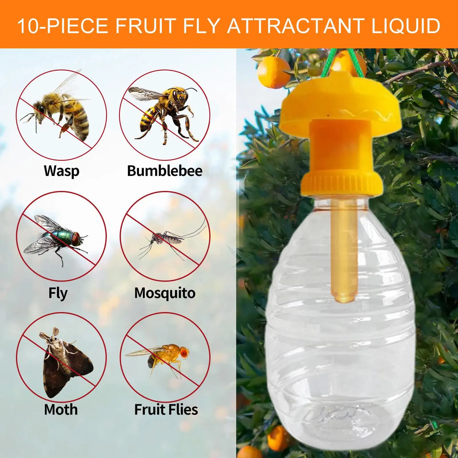 Fruitfly Trap Fruit Fly Trap Indoor Bait Safe Long Lasting 10 Pieces Baits Lures For Garden Orchard Dining Area Kitchen Farm
