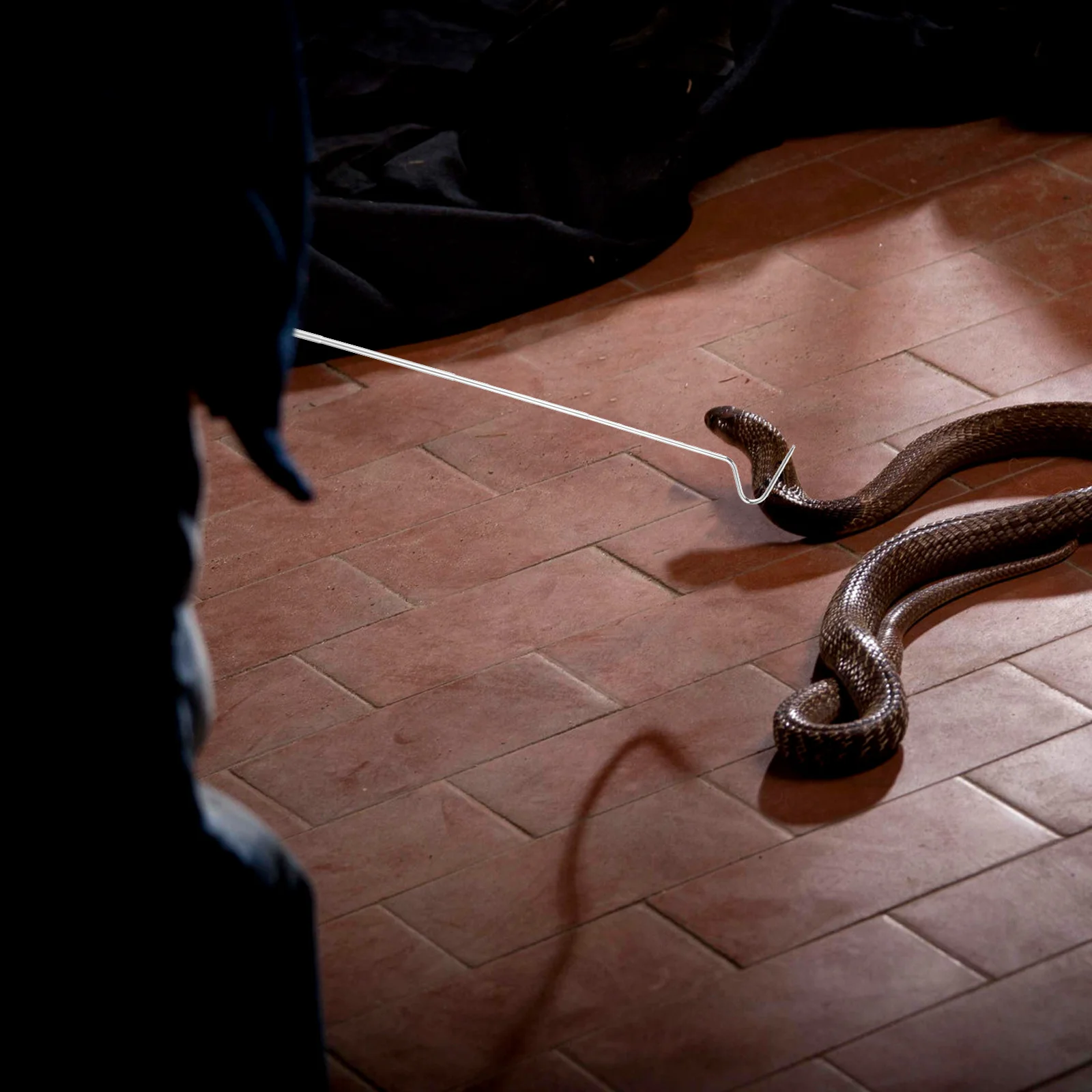 الفولاذ المقاوم للصدأ قابل للسحب ثعبان هوك قابل للتعديل تلسكوبي الزواحف اصطياد أداة المهنية ثعبان المنتزع الزواحف هوك