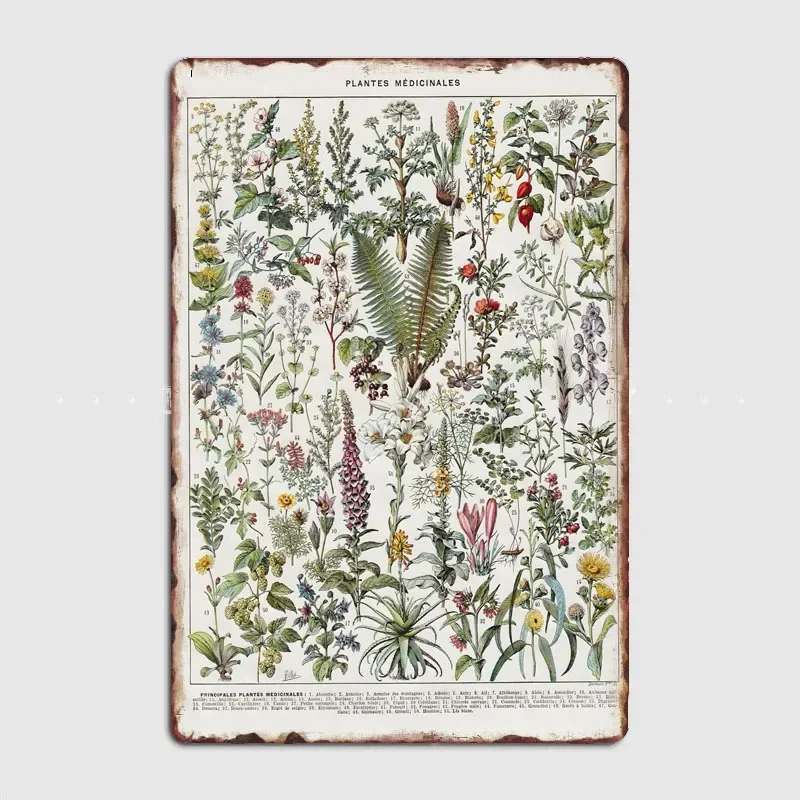 Medicinal Flowers  Knight Artistic Panel Decoration with Characters and Scenery for Vintage Home and Bar Wall Decor