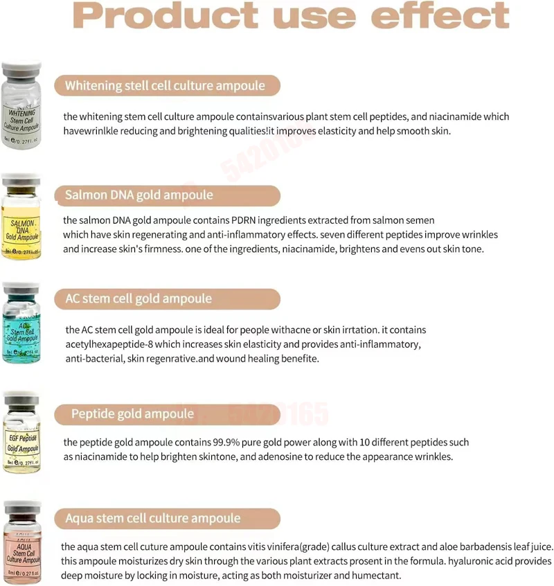 한국 오리지널 Stayve BB 크림 글로우 초보자 스타터 키트 니아신 아미드/펩타이드 에센스 모이스춰 라이징 페이스 스킨 케어 리페어 연고