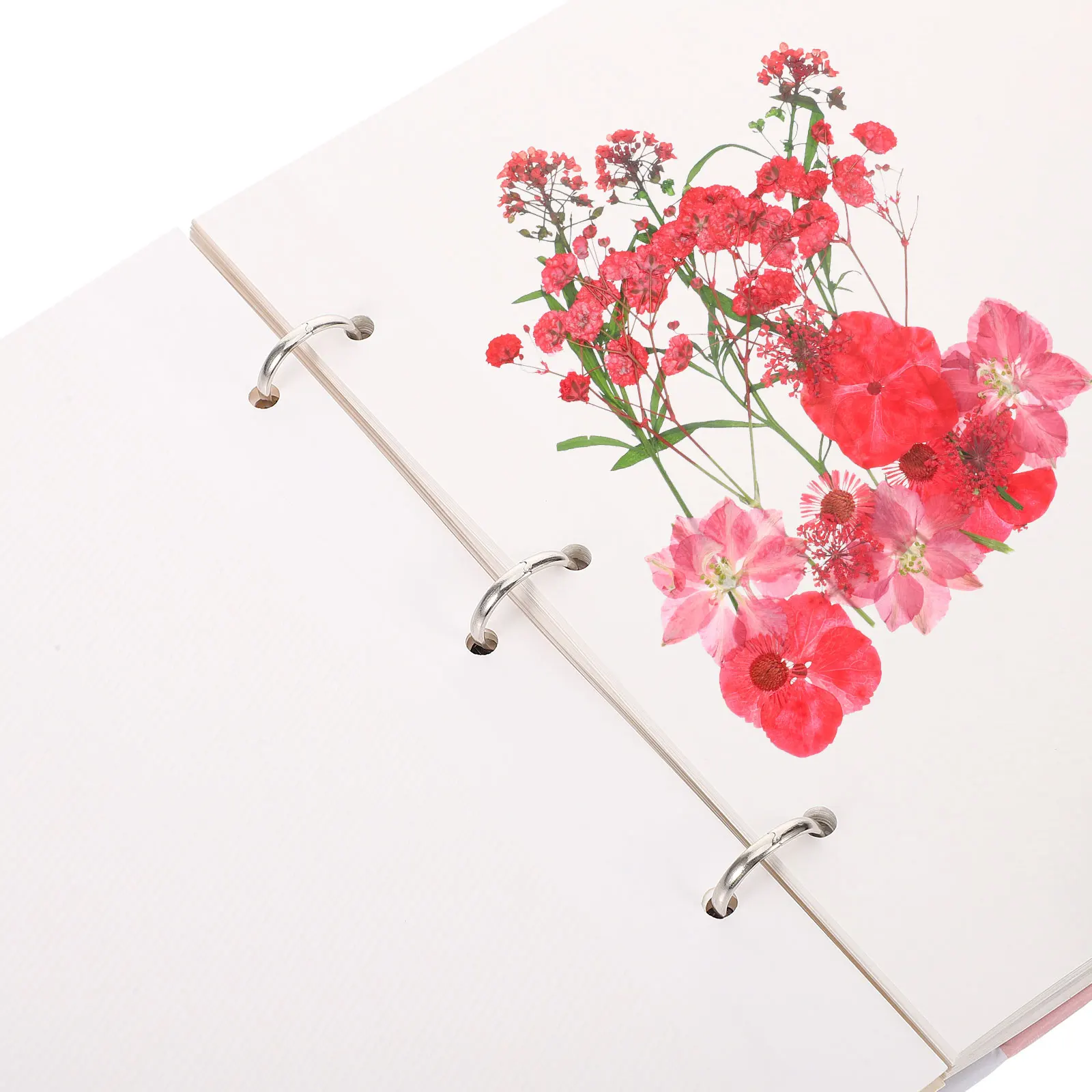 

Diy Pressed Flower Book Loose-Leaf Plant Specimen Holder Storage Album For Dried Flowers Crafts Home Decorative Calligraphy