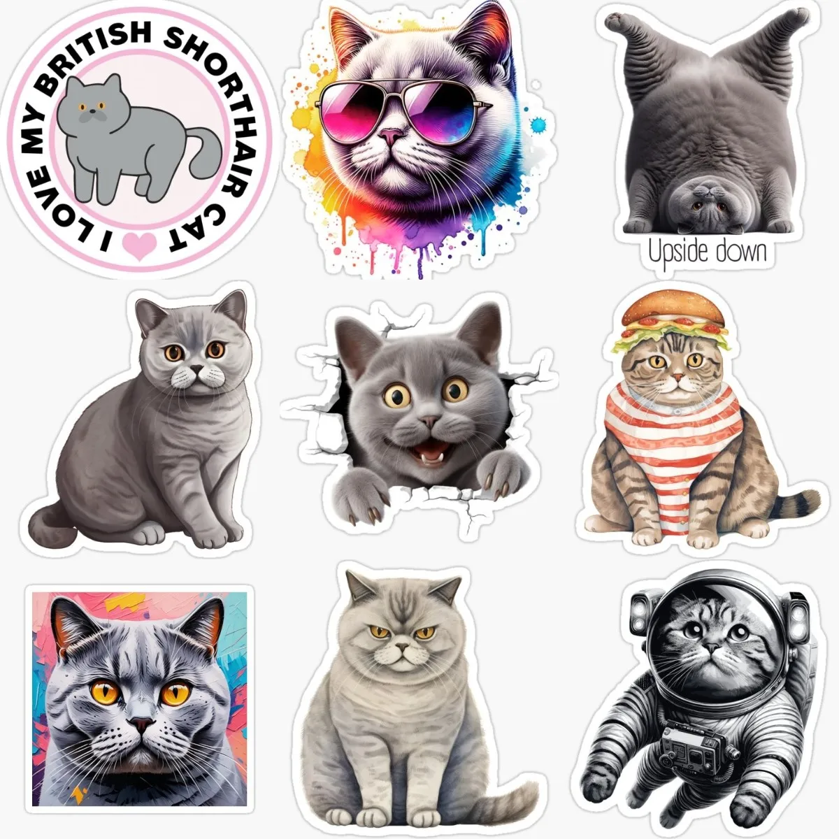 British Shorthair Cat Creative Pets PVC Waterproof Sticker Decorate for Car Van Door Wall Window Decal Accessories