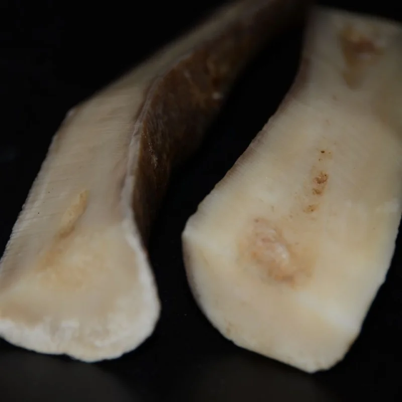 The ultra-thick camel bone material can be used to DIY various beads, small accessories, and pendants
