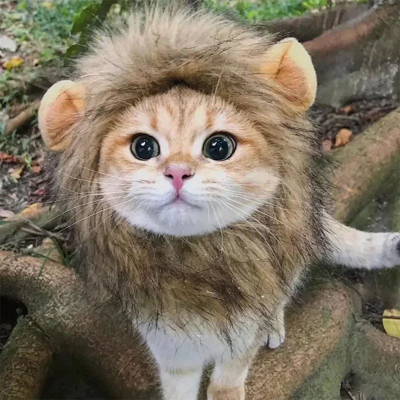 

Cat Lion Mane Halloween Costume Lion Costume Cat Cosplay Dress Up Pet Hat for Small Cats and Kittens Party Decoration Wholesale