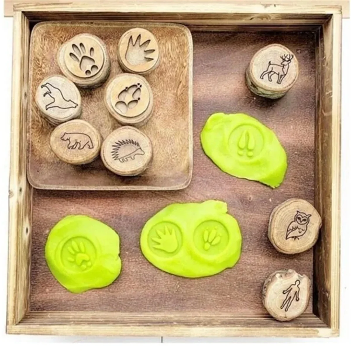 9pcs Animal Tracks Stamps Mould Animal Footprints Engrave Wooden Children Toys Muddy Ground Snowfield Step Print Forest