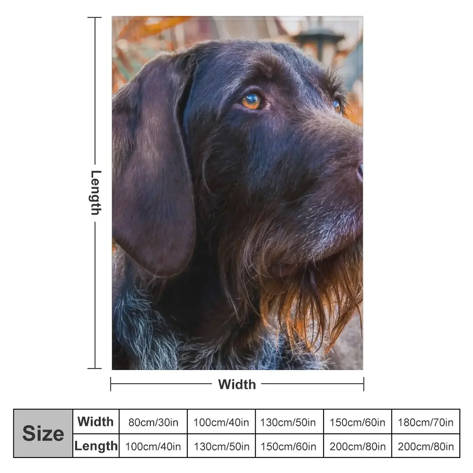 German Wirehaired Pointer Portrait Throw Blanket Sofa Throw Summer Decoratives Bed linens Blankets