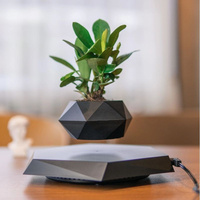 New Creative Floating Magnetic Levitating Flower Pot Air Bonsai Pots for Plants Home Office Desk Decoration Gift Drop Shipping