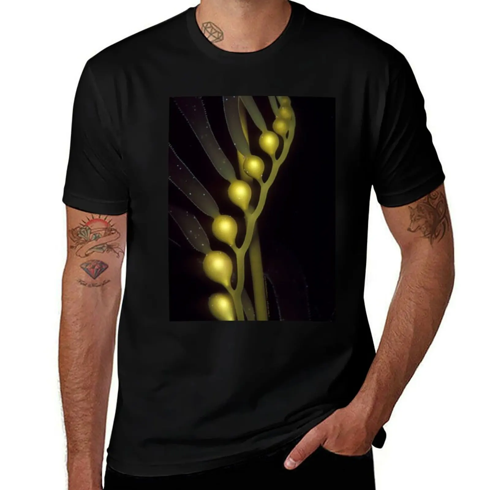 Giant Kelp helix T-Shirt Fashion Simple Casual Tee Shirt T-Shirt
