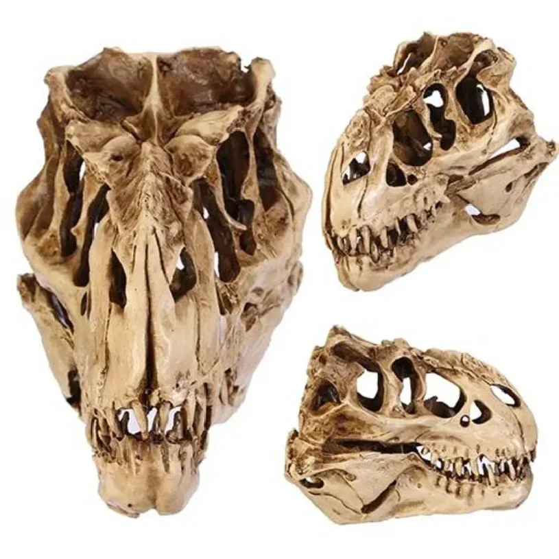 HOT SALES!!! Resin Dinosaur Skull Fossils Teaching Skeleton Model Halloween Festival Decor Wholesale Dropshipping
