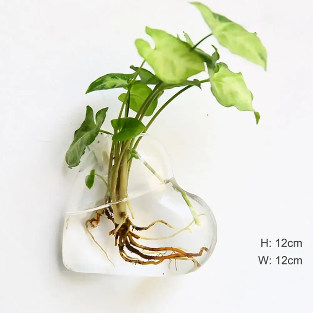 

House Home Decorations Hydroponic Plants Fish Tank Irregular Shape Plant Container Flower Pot Flower Vase Hydroponic Vase