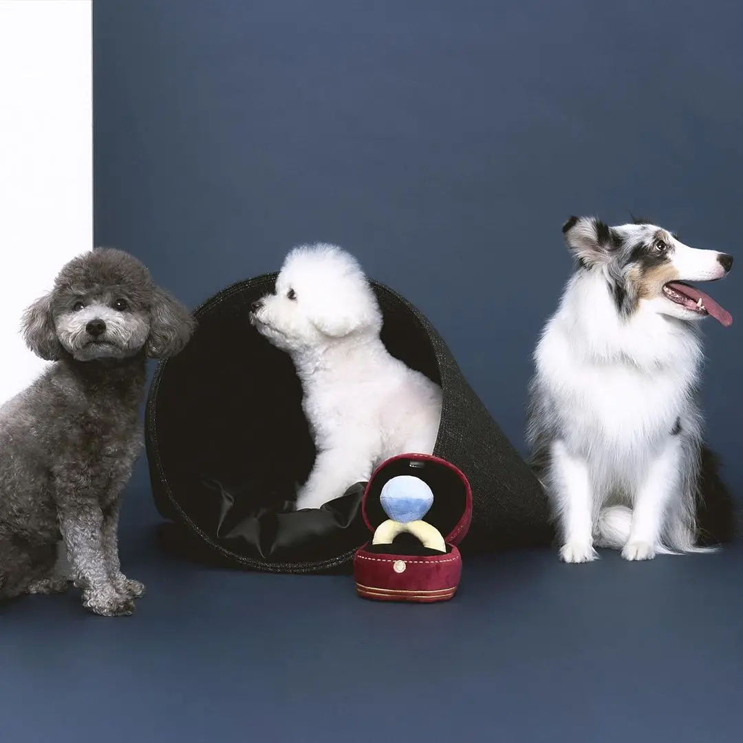 Creative Ring Box Plush Toy Love Diamond Ring Case Stuffed Pet Chew Toy Sounds Puppies Kids Cute Soft Dog Bitter Interested Toys