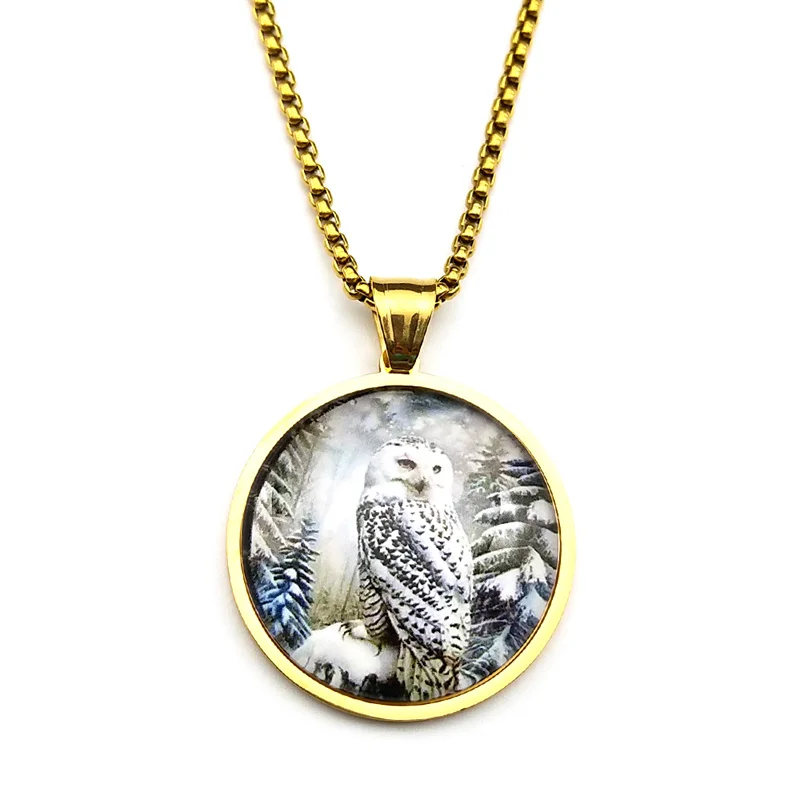 Geheimnisvolle Schneeeule Runde Glas Medaille Anhänger Halskette Für Frauen Männer Edelstahl Gold Farbe Foto Tier Kette Schmuck – Detail 9