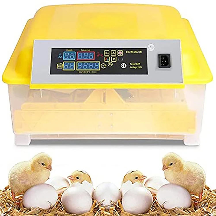 

2022 Hot selling 126 eggs incubator home use mini incubator