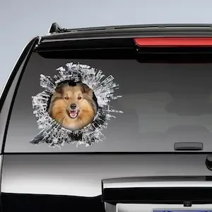 Shetland Sheepdog window sticker, car sticker, window sheltie decal, Shetland Sheepdog decal