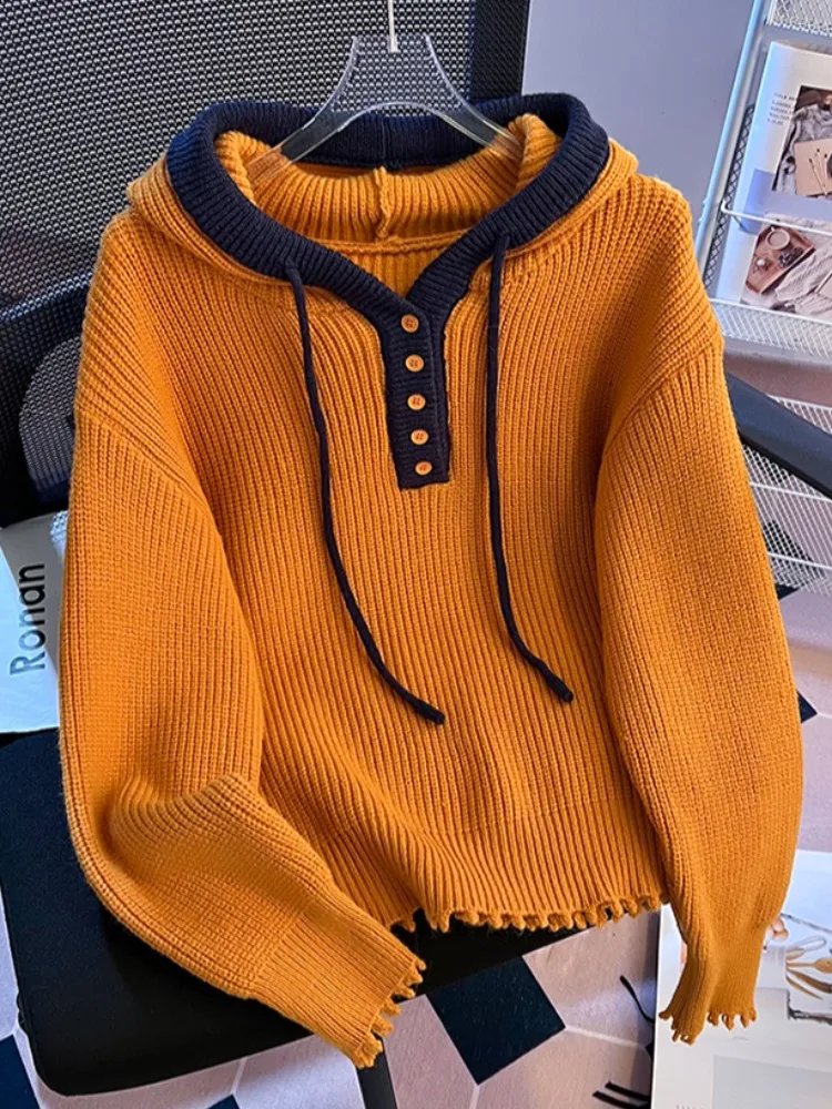 Sudadera con capucha Premium Feel Color Blo, prendas de punto para mujer, prendas de vestir exteriores, capa Base, combinación interior, Otoño Invierno, nuevo diseño Sle auto mantenido