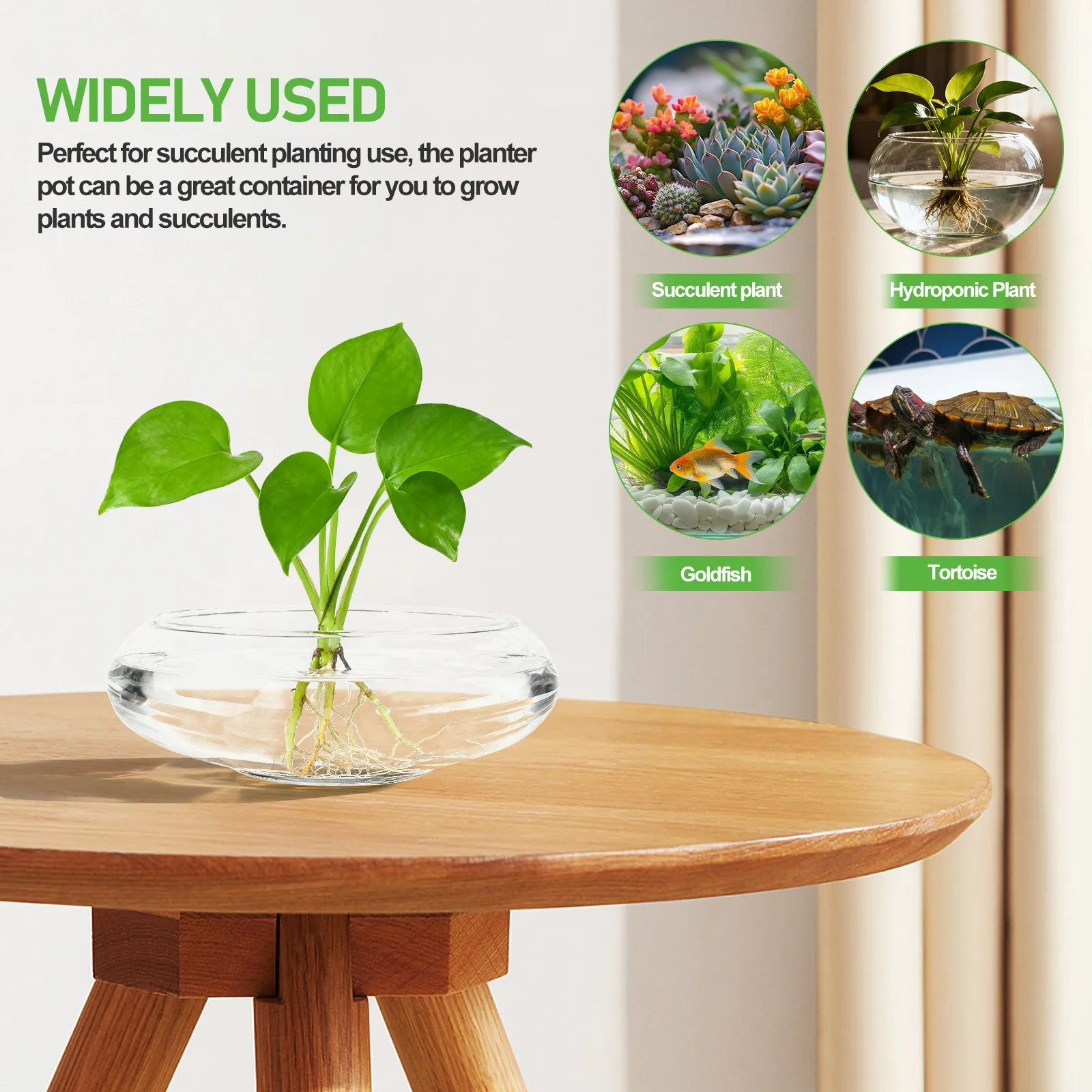 Glass Planter Pot Hydroponics planter Clear Wide Bowl Terrarium Glass Succulents Pot Small Flowerpot Planter Container Fish Bowl