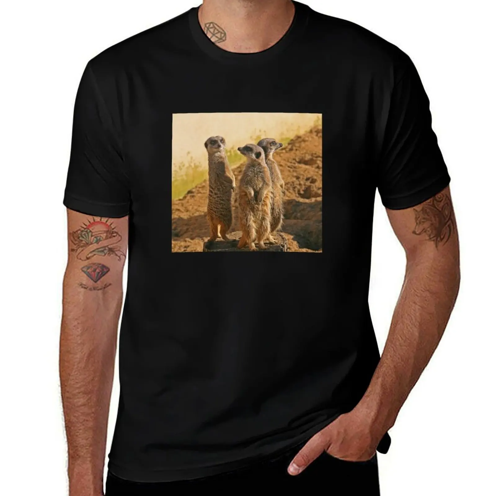 Compare the Meerkats T-Shirt Plus Size Comfort Fit Tee T-Shirt