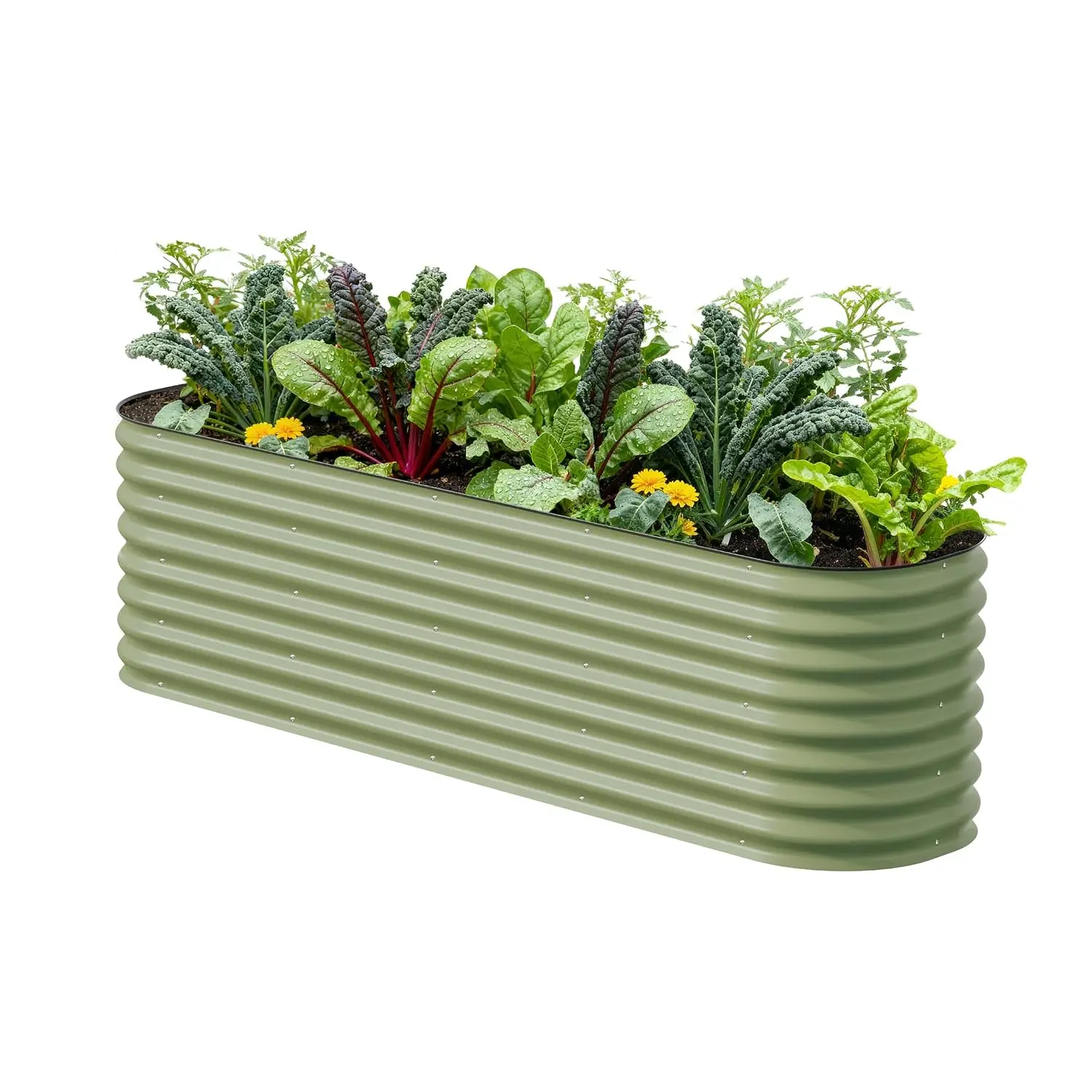 Vego garden 26