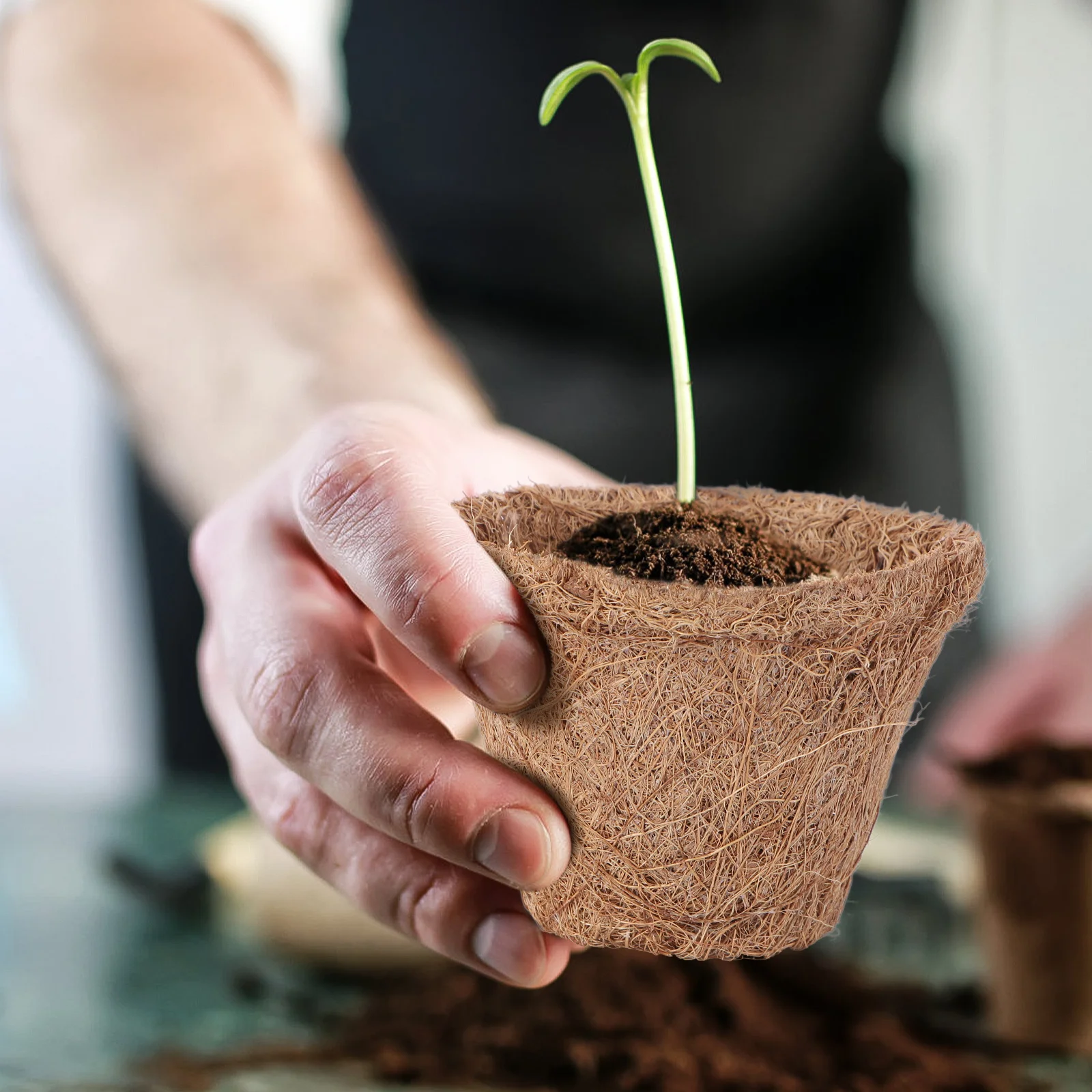 

10Pcs Plant Pot Nursery Basket Natural Coconut Fiber Coir Planter Mat for Indoor Outdoor Garden Balcony Flower Basket Planting