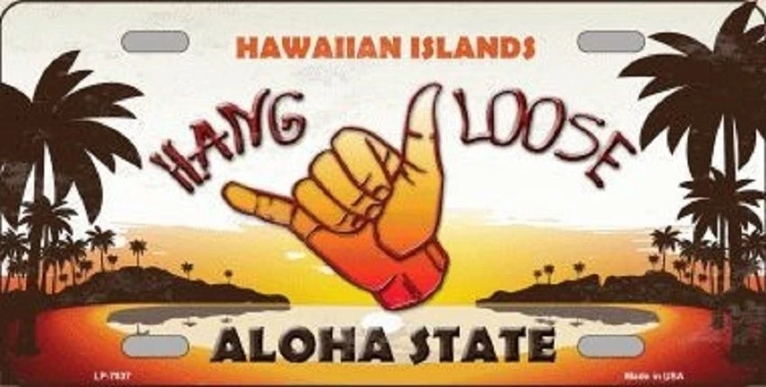 

Hang Loose Hawaii Aloha State Background Metal Novelty License Plate