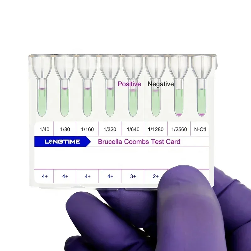 2026/LONGTIME Rapid Accurate Brucella Test Card Brucellosis Detection Kit Reagent for Humans