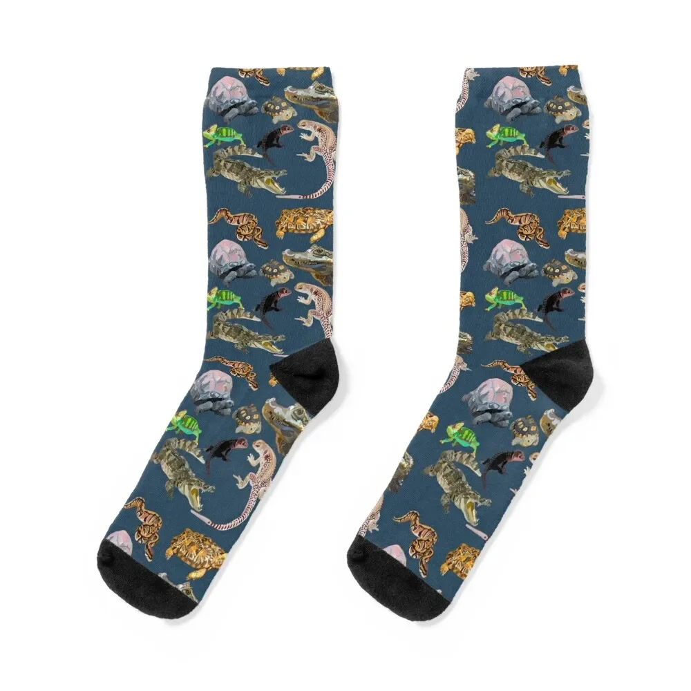 Mixed Reptile Socks gifts Lots Socks For Man Women's