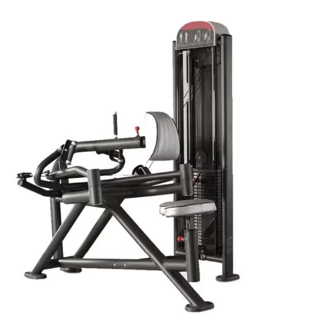 Heavy-Duty Adjustable Steel Arm Rowing Machine Commercial Back Exercise Trainer 2025