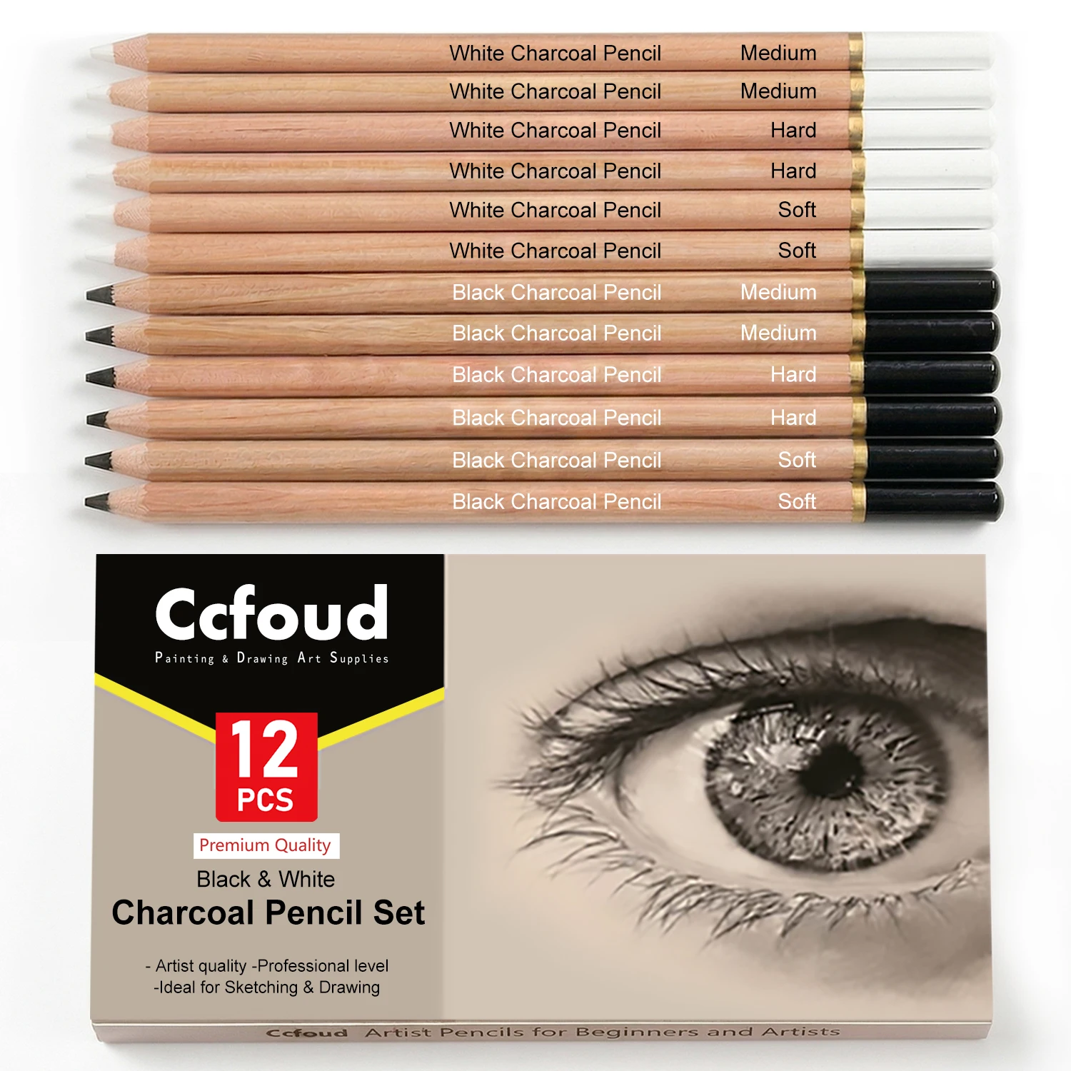 Pro Charcoal Pencils Drawing Set,6/10/12/20 PCS,Black/White Charcoal Pencils,S/M/H Charcoal Pencil for Drawing,Sketching,Shading
