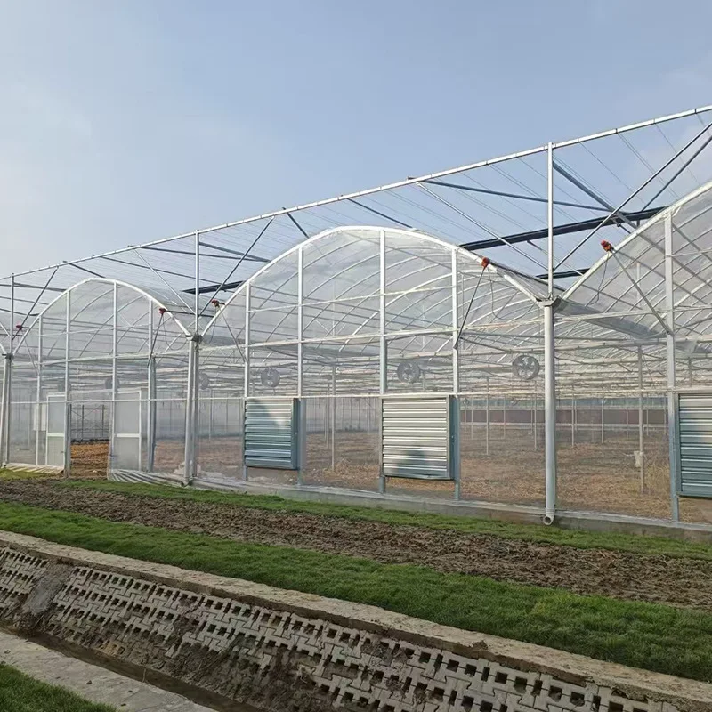 

2025 Steel structure shading and insulation facilities for multi-span greenhouses for vegetable cultivation