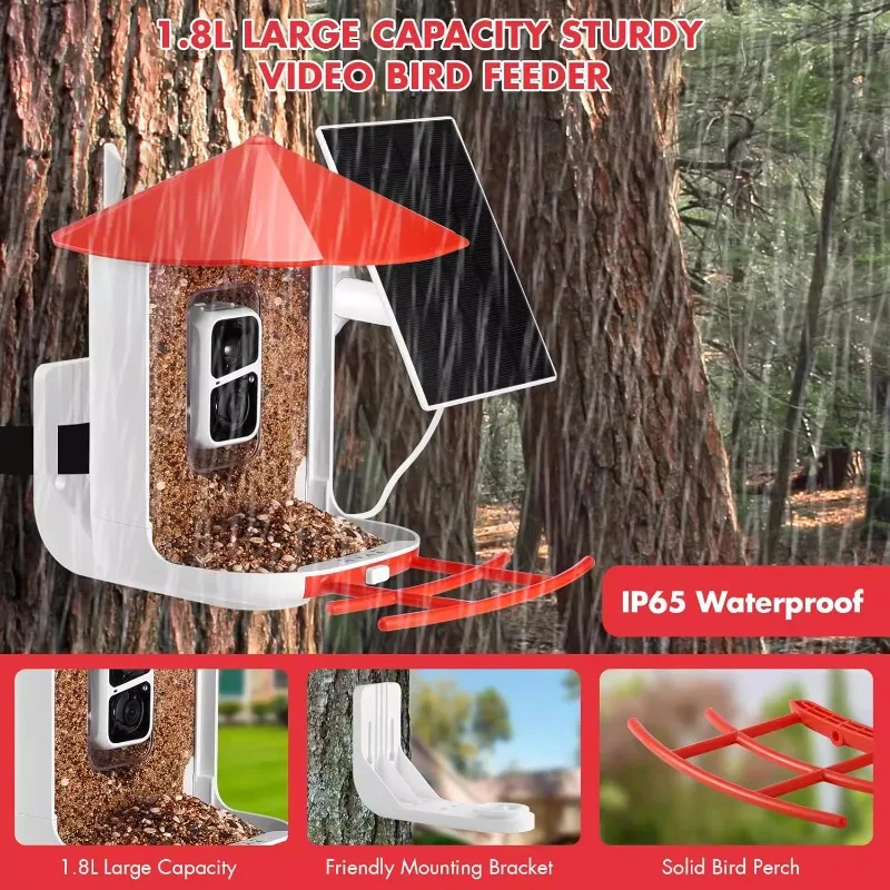 Smart Bird Feeder with Camera Bird Cage Camera Solar Outdoor Bird Camera