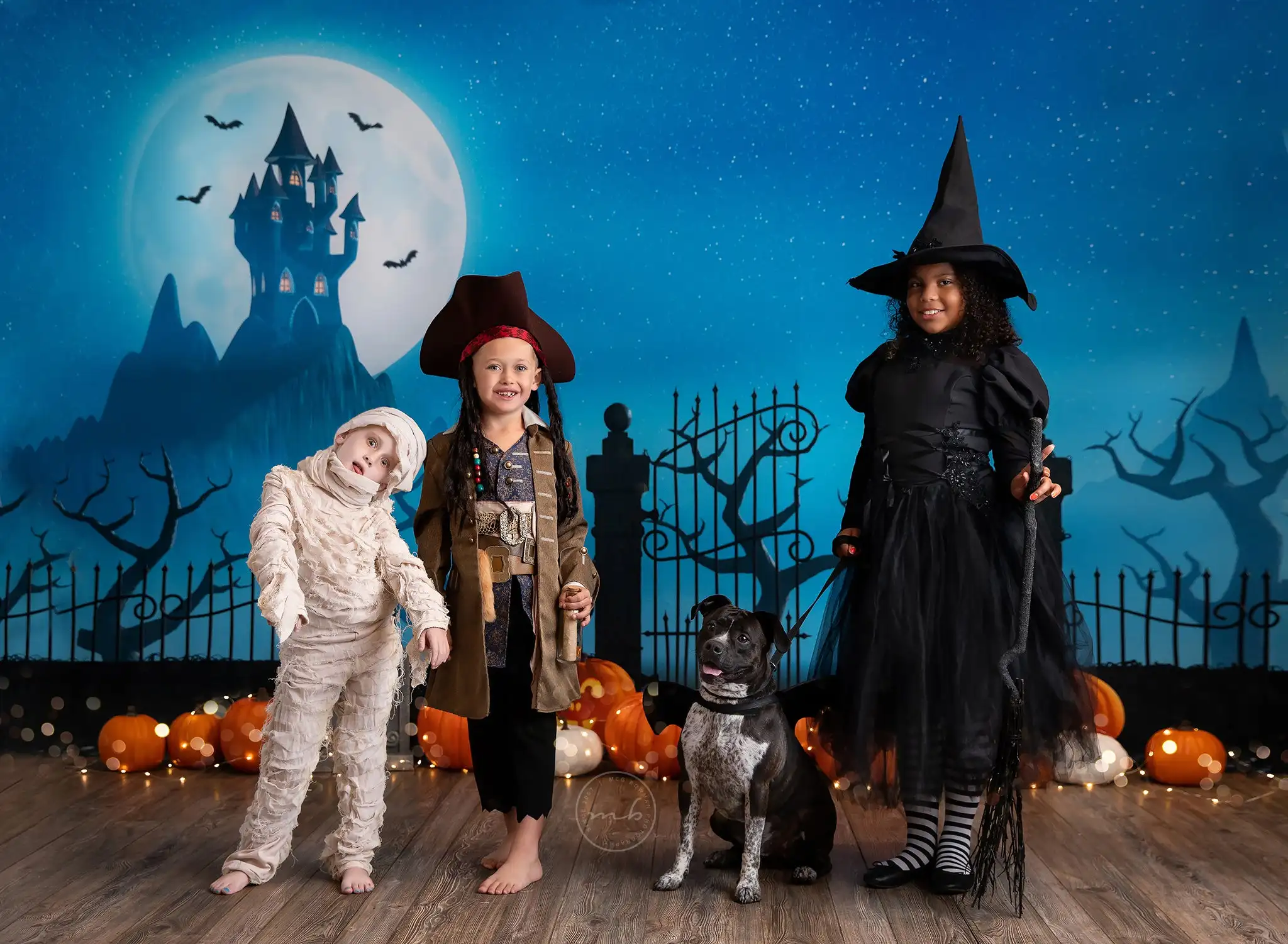 Halloween Festival Backgrounds Trick Or treat Kids Adult Photography Props Child Baby Pumpkin Bat Decors Studio Photo Backdrops