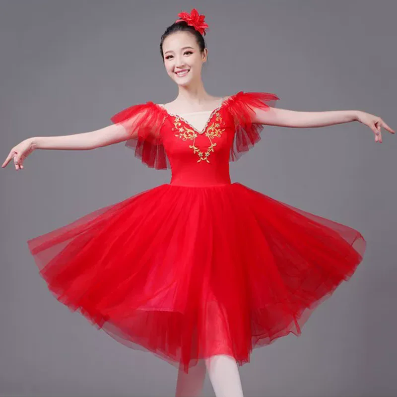 

Summer Big Child Ballet Leotards Woman Dresses Vestidos Ballerine Adult Clothing Dance Costumes Ballet Women Dress Tutu Elegant