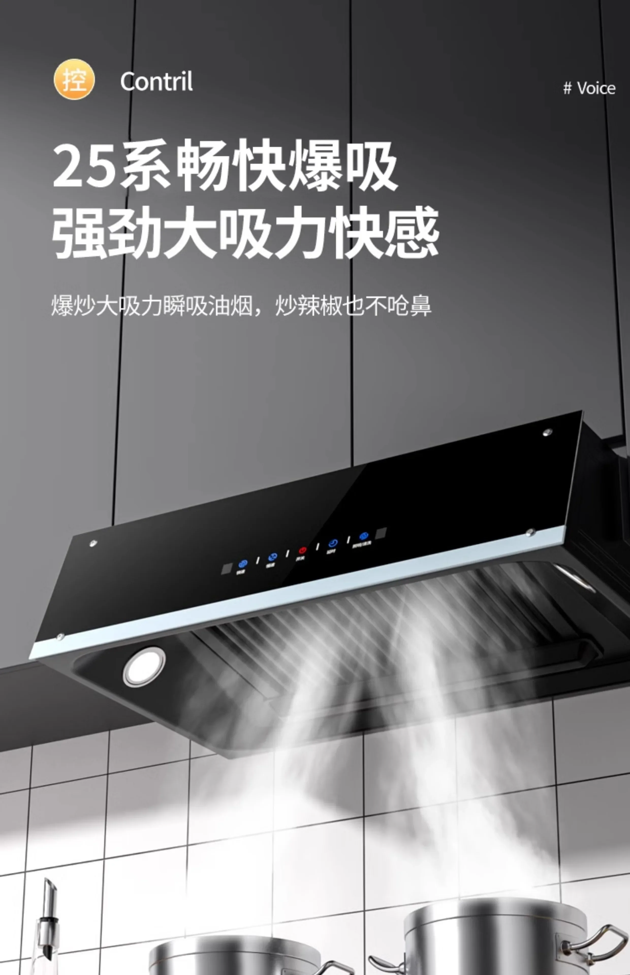 220V Goodwife High Power Range Hood Kitchen Ventilation Chinese Style Top Suction EB