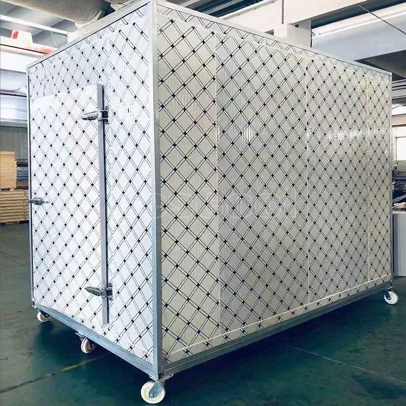 Stanza frigorifera mobile Facile da usare Coolroom Conservazione frigorifera commerciale con ripiani mobili per uso al dettaglio e in negozio