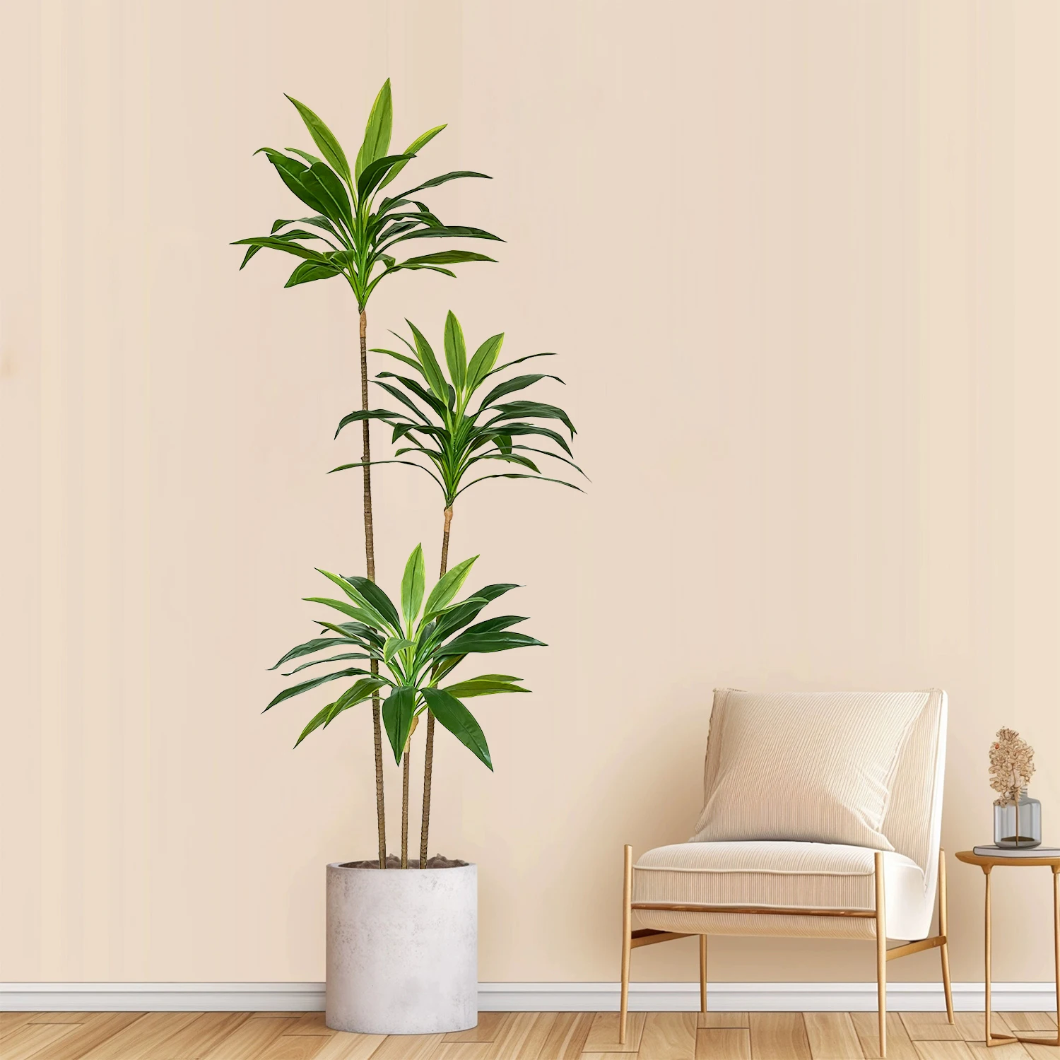 indoor orchid plants The Neutral Orchids