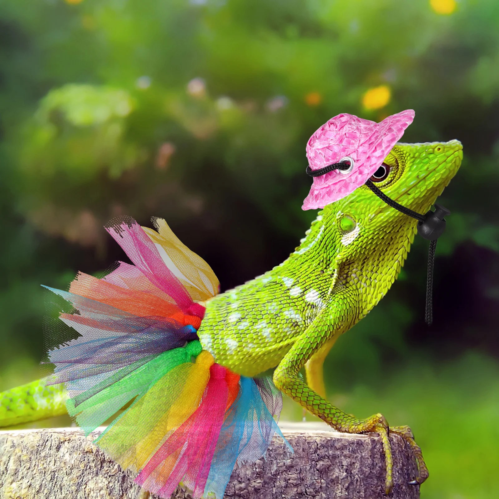 

Bearded Dragon Costume Set Hat Tutu Skirt Reptile Lizard Small Pet Halloween Bearded Dragon Costume Lizard Witch Hat