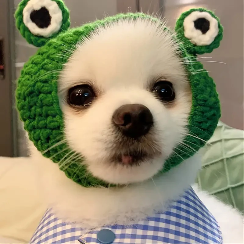 1pc Cute Fun Green Knitted Frog Shaped Pet Hat/headgear/cap for Keeping Warm for Small Pets Cats Dogs for Parties or Photoshoots