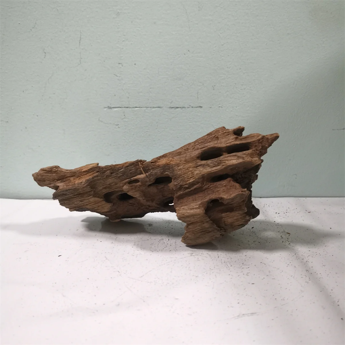 Driftwood bon Natural Wooden Fish Tank Decorations Plant 5-40cm Tree Trunk Driftwood Tree Aquarium Fish Landscaping Ornaments