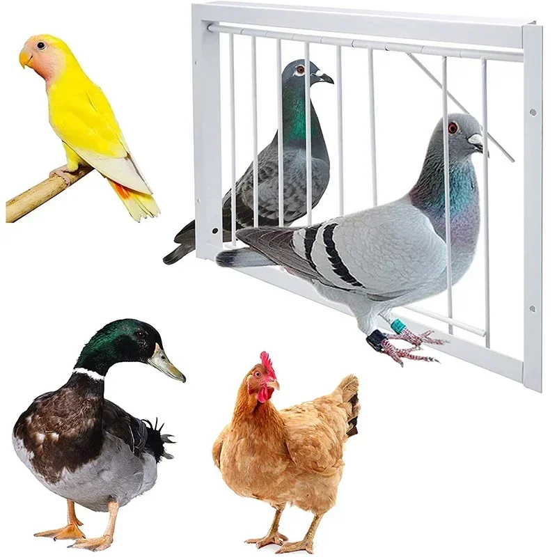 30/40*26cm Pigeon Entrance Door Metal Wire Bars Frame Single Entrance Trapping Doors Cage Pigeon Racing Supplies for Bird Cages