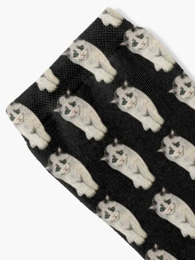 Adorable Ragdoll cat sticker Socks compression funny gift tennis Luxury Woman Socks Men's