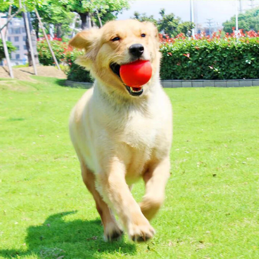 Bolas hinchables para perros, pelota de goma sólida resistente a caídas Indestructible, entrenamiento de mordeduras para perros medianos y grandes, masticadores agresivos