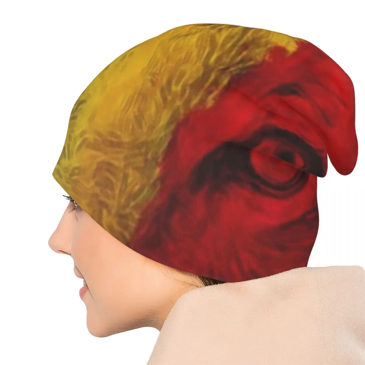 Jamaica Rasta Jamaican  Men Women Adult Beanies Caps Knitted Bonnet Hat Warm Fashion Autumn Winter Outdoor Skullies Hats view 3