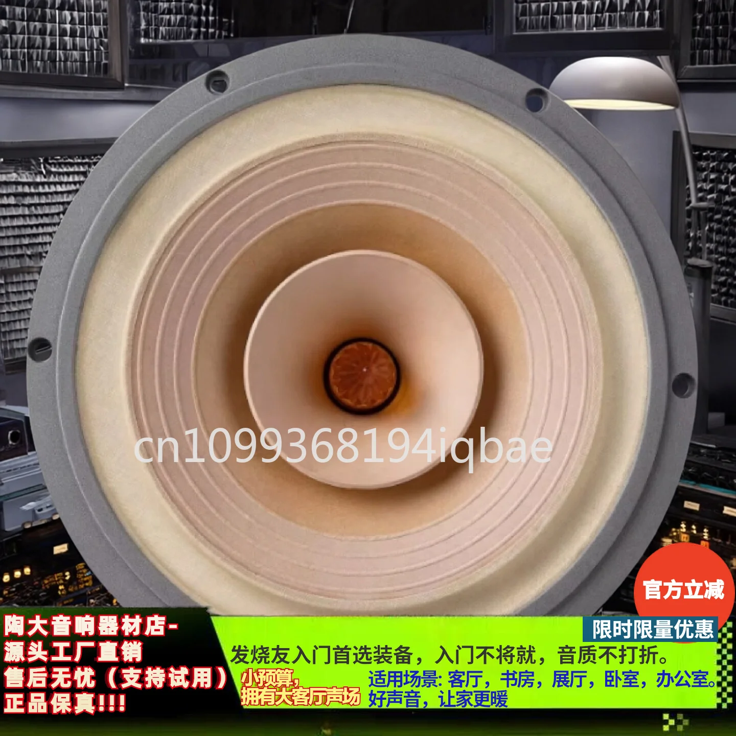 Genuine High-Quality 10-Inch Full-Range HiFi Speaker | Premium Audio Sound System