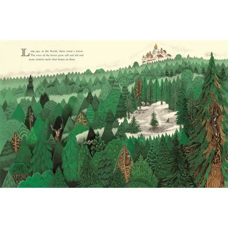 The Robin And The Fir Tree Jason Jameson Templar Publishing 9781787414815 Book