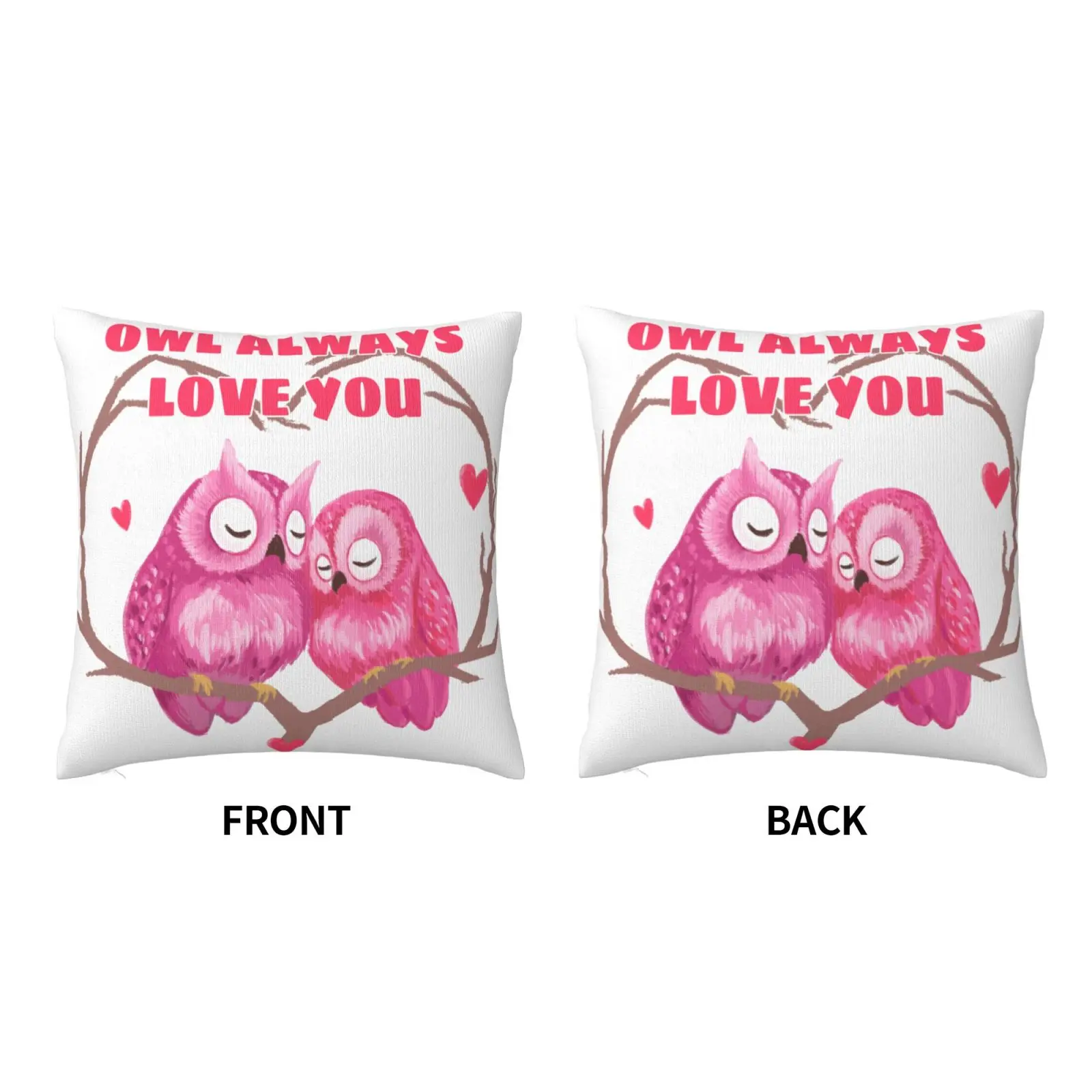 

Valentine's Day Owl Throw Pillow Covers Case Set of 2, 18 x 18 Soft Cozy Velvet Decorative Square Pillowcase for Sofa Couch