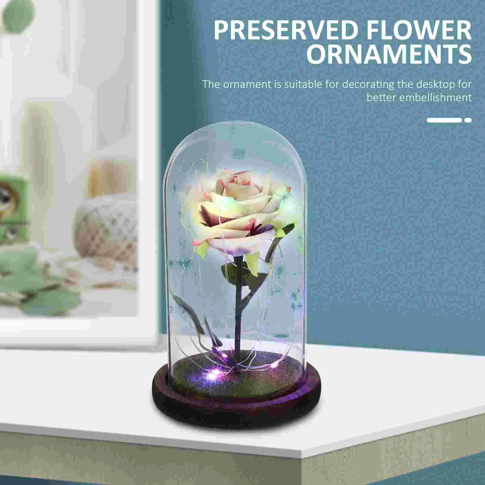 Preserved Flower Household Decor Exquisite Home Decoration for Desktop